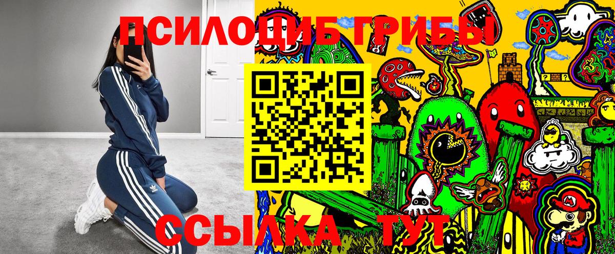 Учалы  Галлюциногенные грибы Psilocybine cubensis  Вход с VPN 