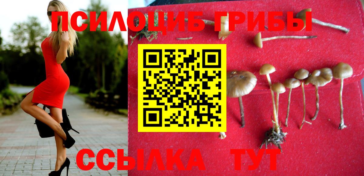 Галлюциногенные грибы Psilocybine cubensis Учалы